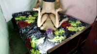 Indian Bhabhi fucking hard xxx video